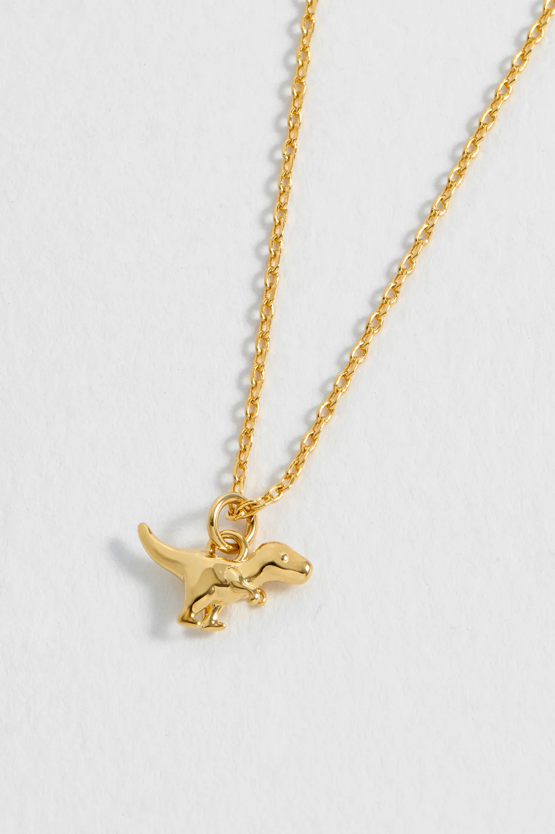 Dinosaur Necklace - Image 7