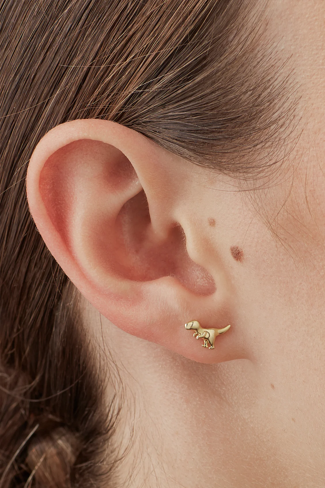 Dinosaur Stud Earrings - Image 2